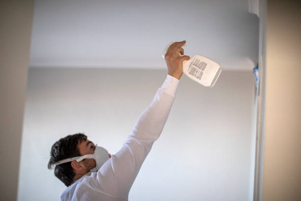 Best Fast Mold Removal  in St Anthony, MN